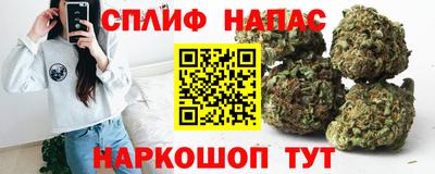 прущие крисы Можга