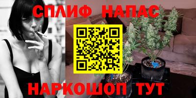 jwh Моздок