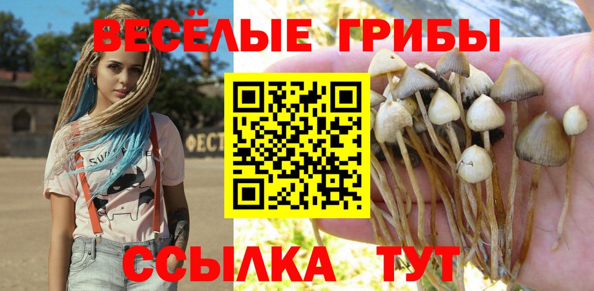 Псилоцибиновые грибы MAGIC MUSHROOMS Усть-Джегута