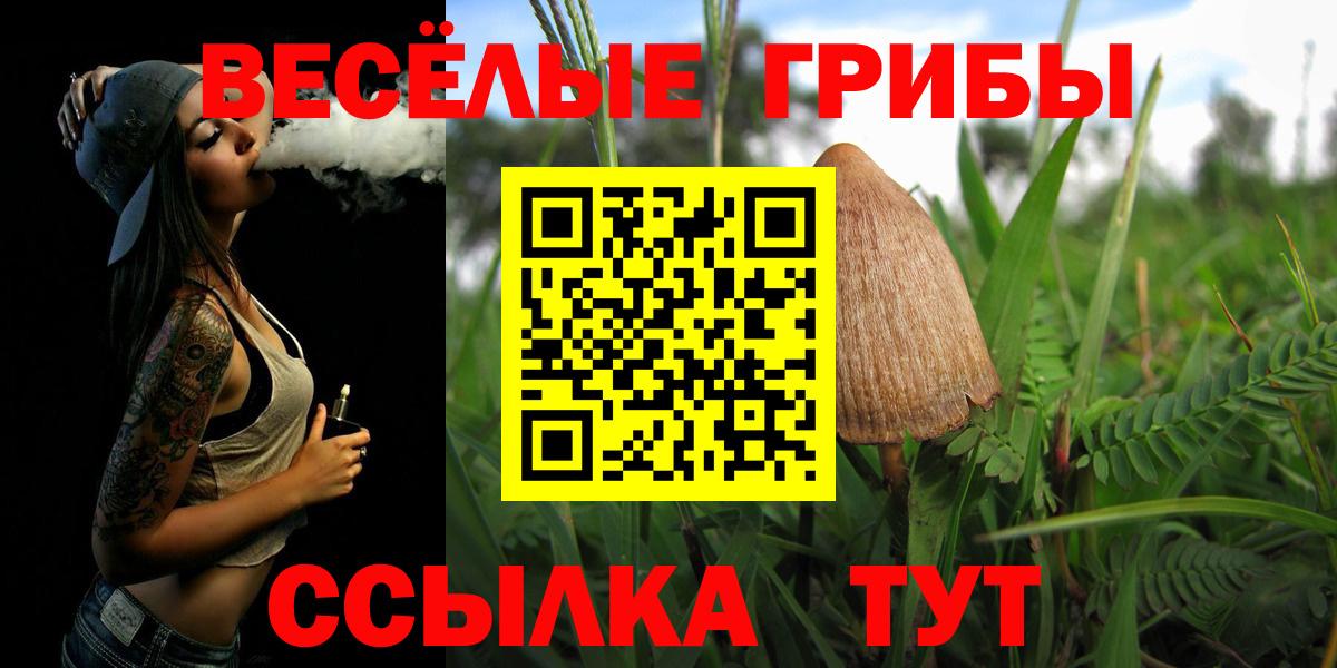 Галлюциногенные грибы прущие грибы  Вход с VPN  Усть-Джегута 