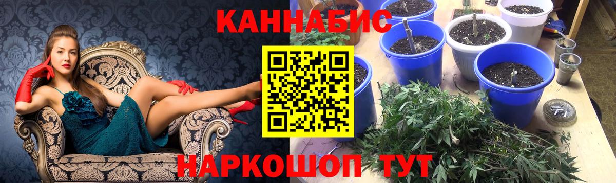 Бошки Шишки THC 21% Усть-Джегута